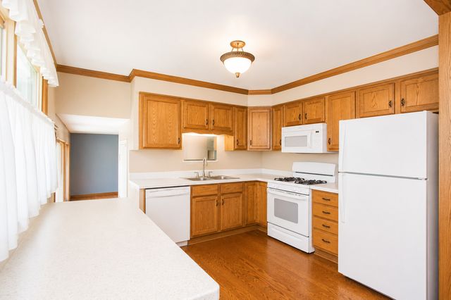 1359 E Dorothy Drive, Palatine, IL 60074