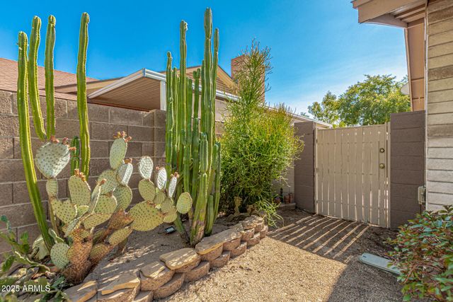 6243 W Cholla Street, Glendale, AZ 85304