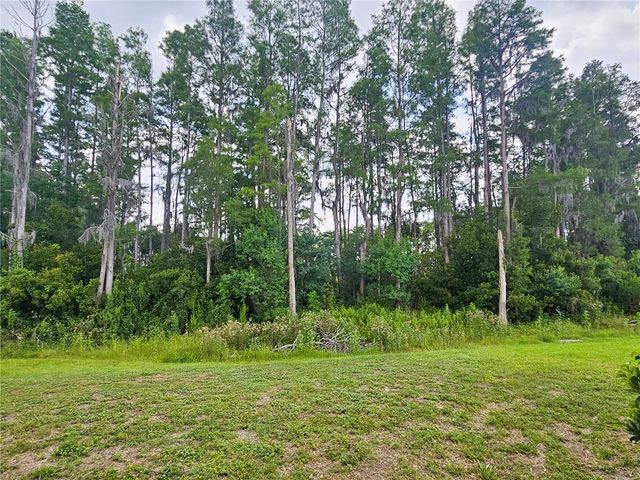 3220 CLOVER BLOSSOM CIRCLE, Land O Lakes, FL 34638
