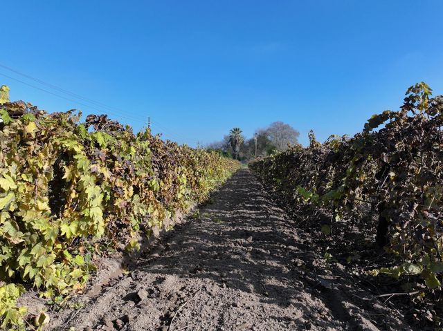 4801 E Parlier Avenue, Fowler, CA 93625