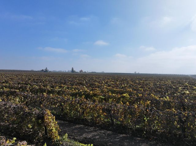 4801 E Parlier Avenue, Fowler, CA 93625