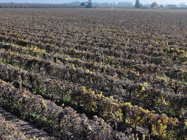 4801 E Parlier Avenue, Fowler, CA 93625