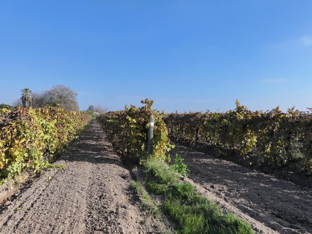 4801 E Parlier Avenue, Fowler, CA 93625