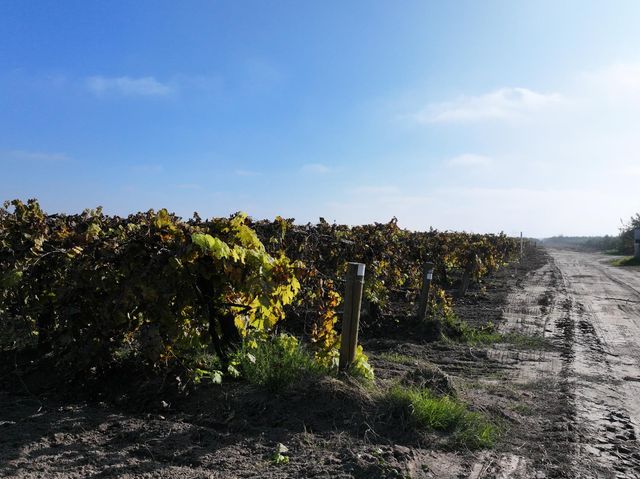 4801 E Parlier Avenue, Fowler, CA 93625