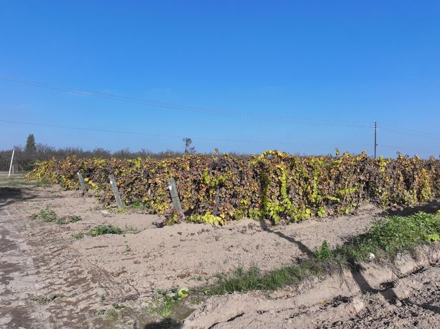 4801 E Parlier Avenue, Fowler, CA 93625