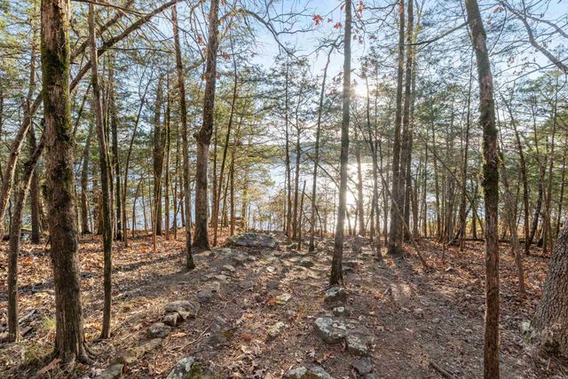 180 Lookout Dr., Tumbling Shoals, AR 72581