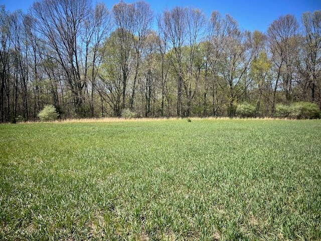 Parcel 1 70th Street, South Haven, MI 49090