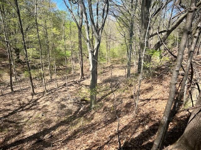 Parcel 1 70th Street, South Haven, MI 49090