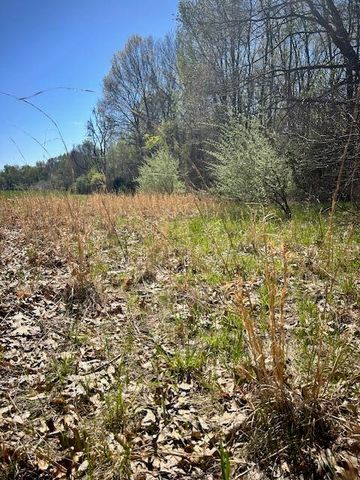 Parcel 1 70th Street, South Haven, MI 49090