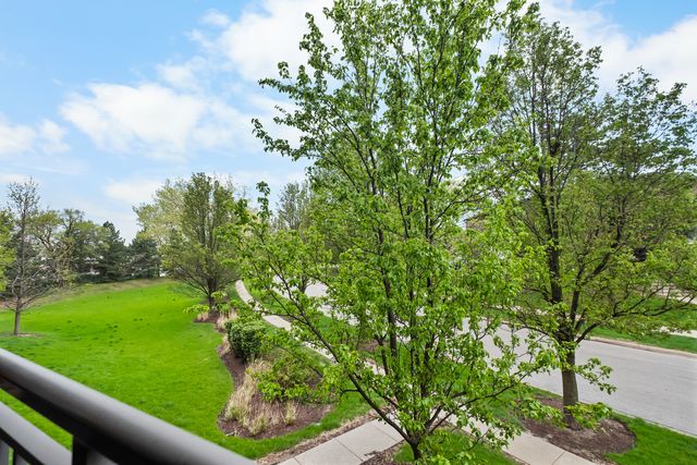 655 PERRIE Drive 206, Elk Grove Village, IL 60007