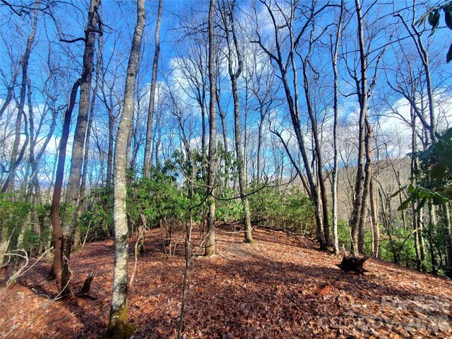 TBD Skye Drive 803a & 803b, Pisgah Forest, NC 28768