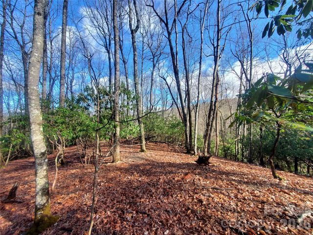 TBD Skye Drive 803a & 803b, Pisgah Forest, NC 28768