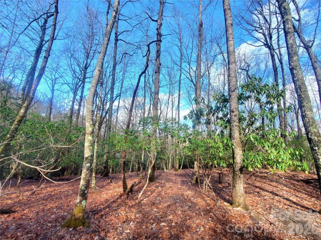 TBD Skye Drive 803a & 803b, Pisgah Forest, NC 28768