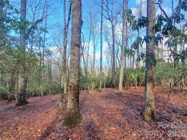TBD Skye Drive 803a & 803b, Pisgah Forest, NC 28768