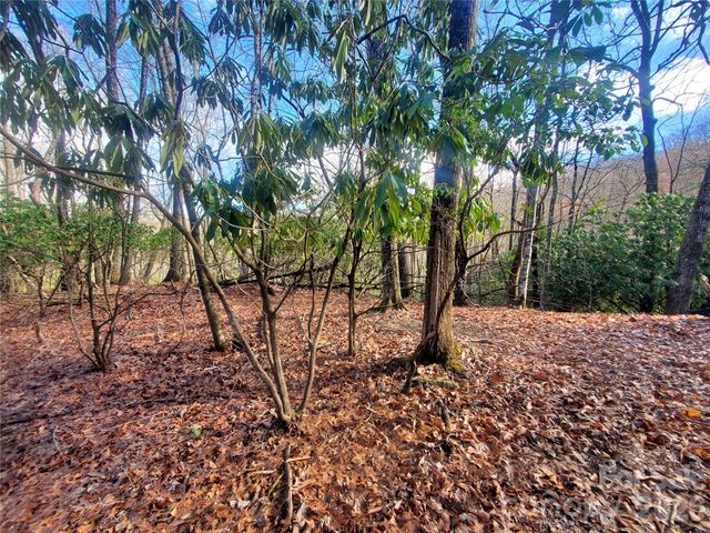 TBD Skye Drive 803a & 803b, Pisgah Forest, NC 28768