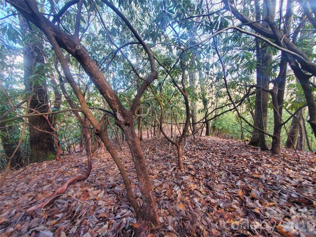 TBD Skye Drive 803a & 803b, Pisgah Forest, NC 28768