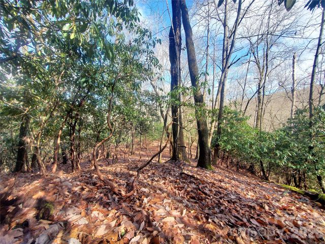 TBD Skye Drive 803a & 803b, Pisgah Forest, NC 28768