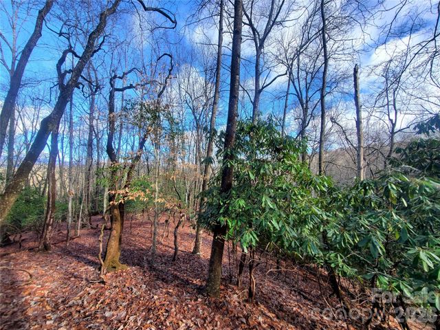TBD Skye Drive 803a & 803b, Pisgah Forest, NC 28768