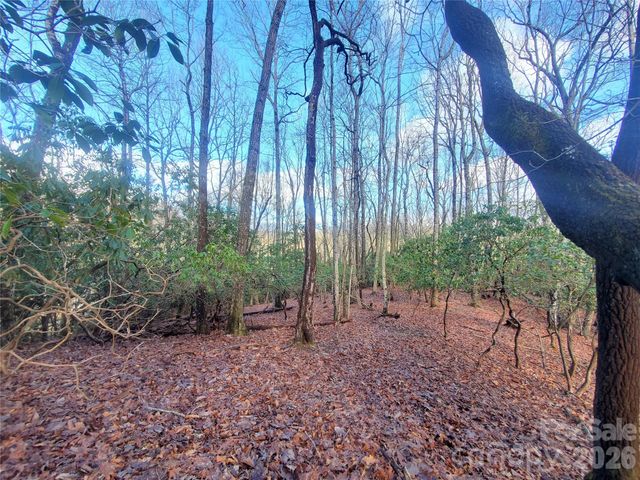TBD Skye Drive 803a & 803b, Pisgah Forest, NC 28768