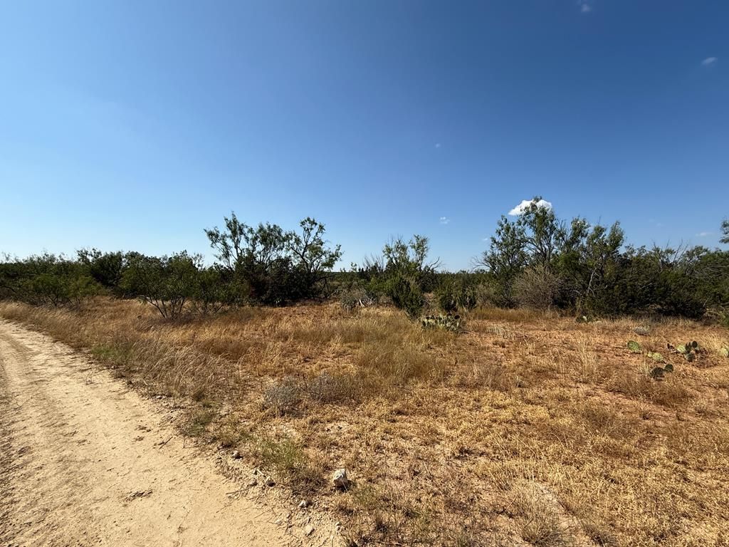 Image 1 of property listing at N/A Private Rd, Robert Lee, TX 76945