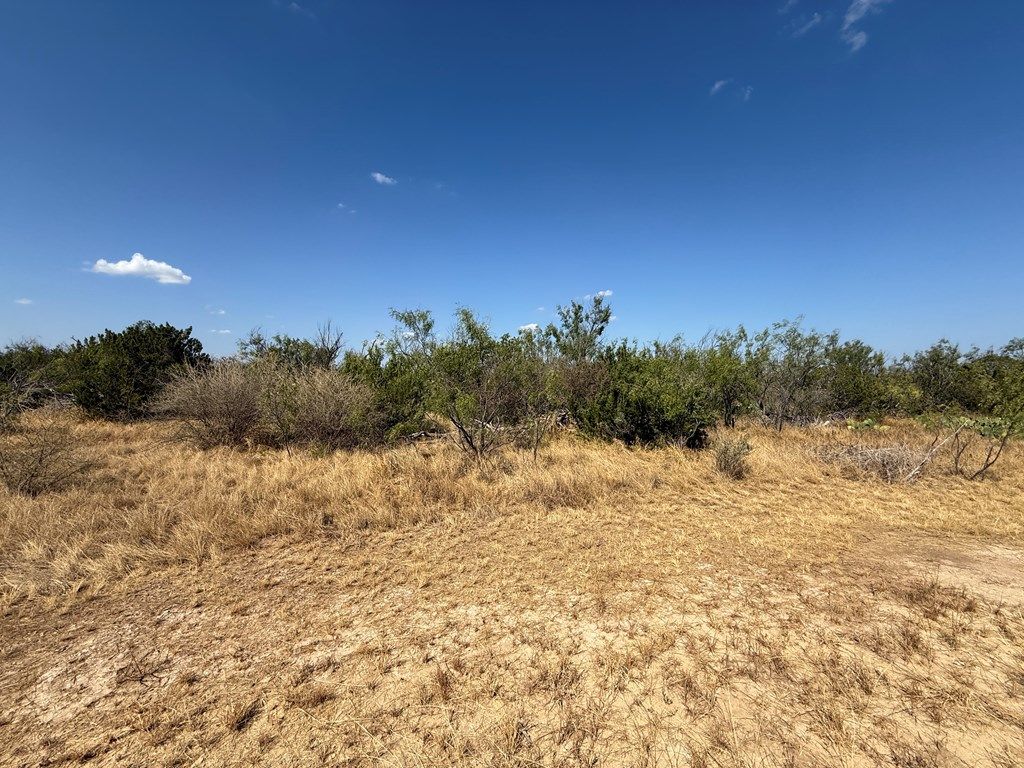 Image 2 of property listing at N/A Private Rd, Robert Lee, TX 76945