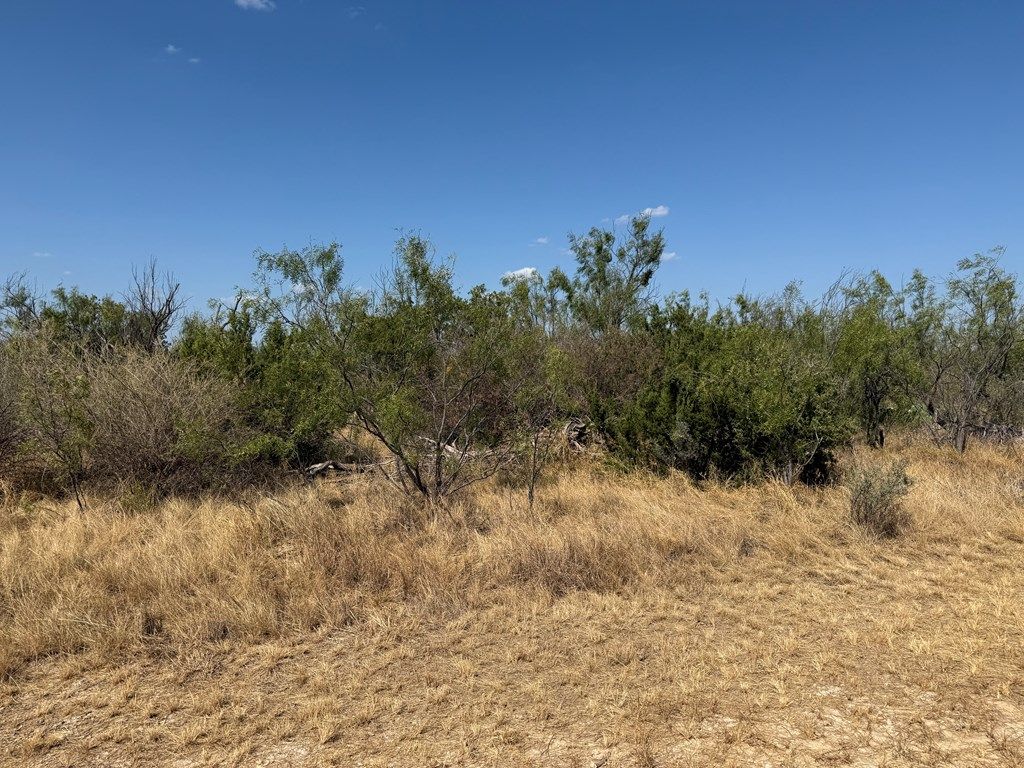 Image 3 of property listing at N/A Private Rd, Robert Lee, TX 76945