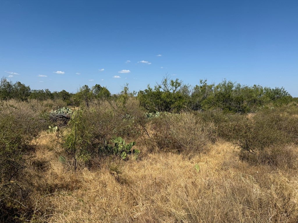 Image 4 of property listing at N/A Private Rd, Robert Lee, TX 76945