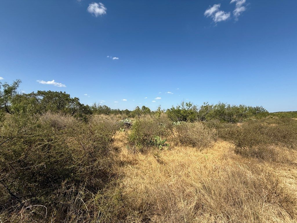 Image 5 of property listing at N/A Private Rd, Robert Lee, TX 76945