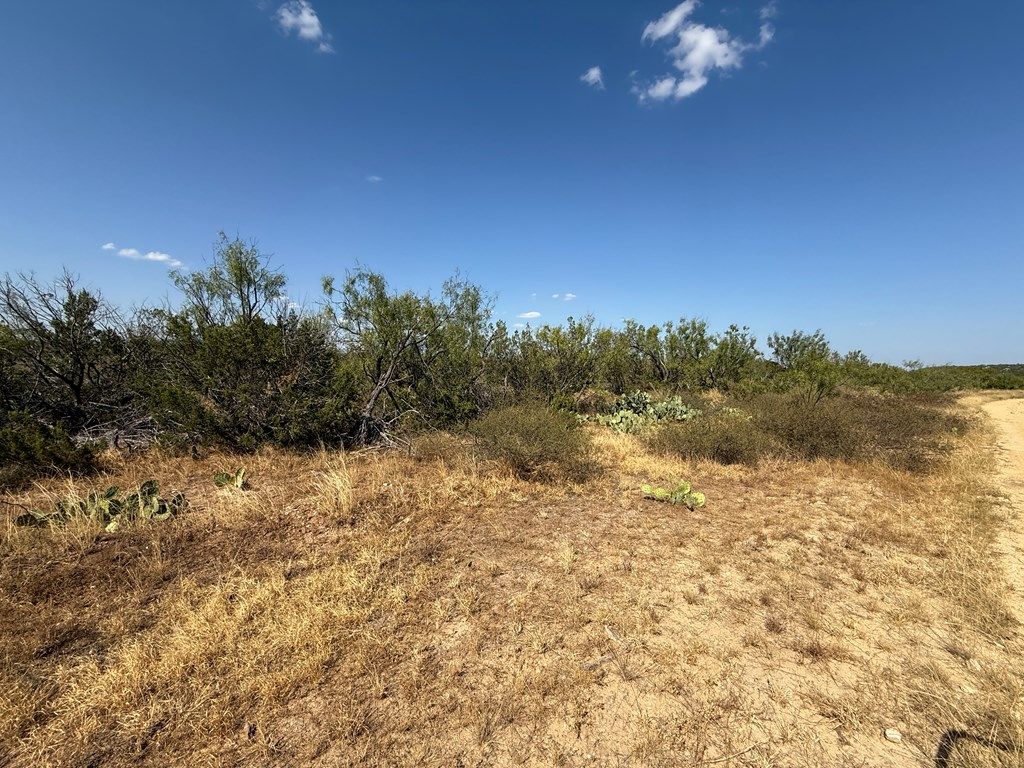 Image 6 of property listing at N/A Private Rd, Robert Lee, TX 76945
