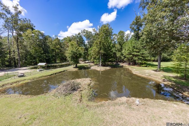 31805 Greenwell Springs Rd, Greenwell Springs, LA 70739