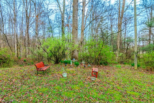 1667 Jackson Drive, Morehead, KY 40351