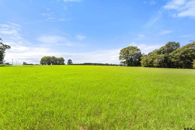 1147 N FM 346, Bullard, TX 75757