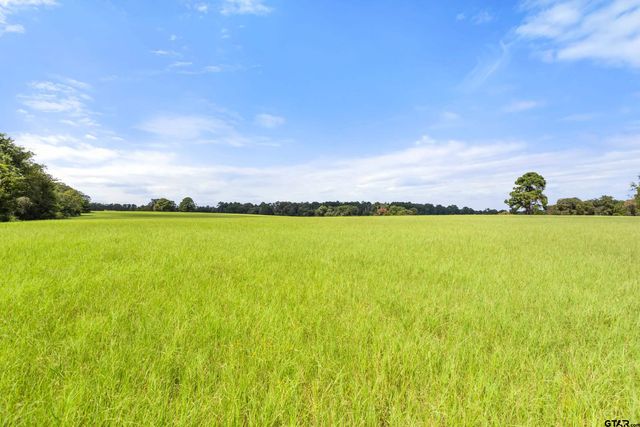 1147 N FM 346, Bullard, TX 75757