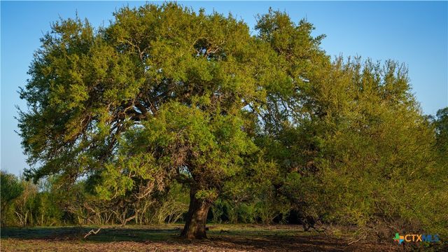 8440 State Highway 239, Goliad, TX 77963