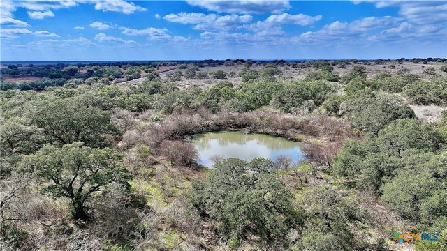 8440 State Highway 239, Goliad, TX 77963