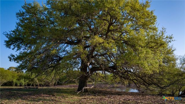 8440 State Highway 239, Goliad, TX 77963