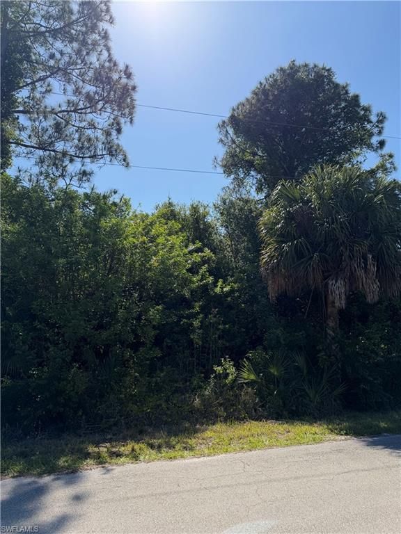 904 Sheldon AVE, LEHIGH ACRES, FL 33936 — exterior