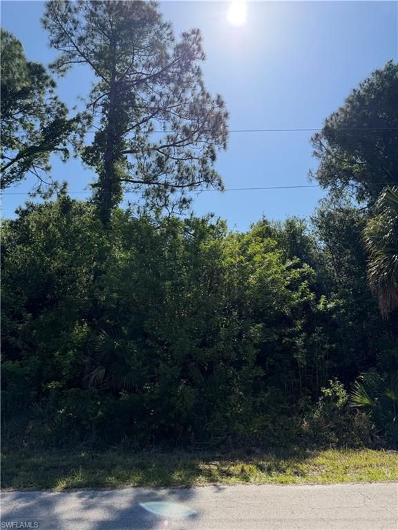 904 Sheldon AVE, LEHIGH ACRES, FL 33936 — photo 2