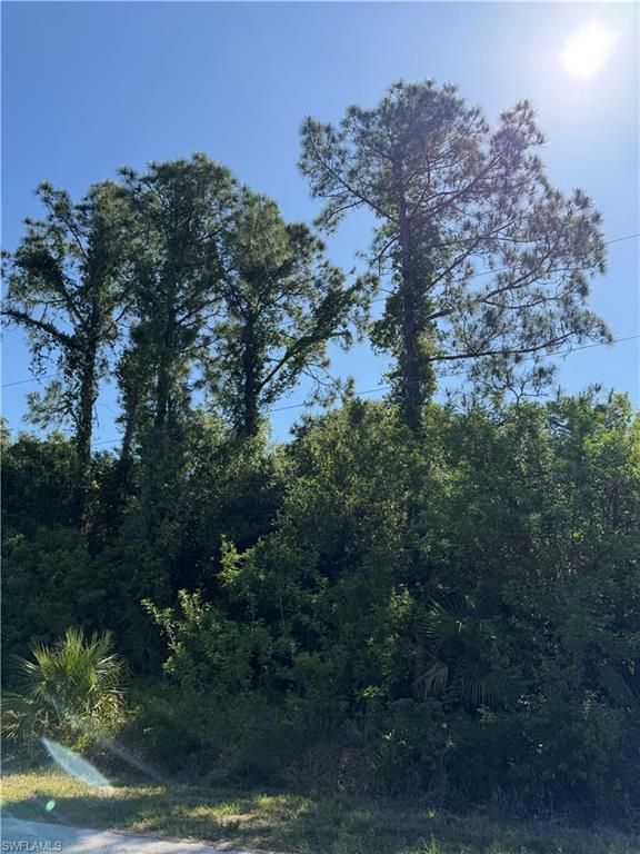 904 Sheldon AVE, LEHIGH ACRES, FL 33936 — photo 3