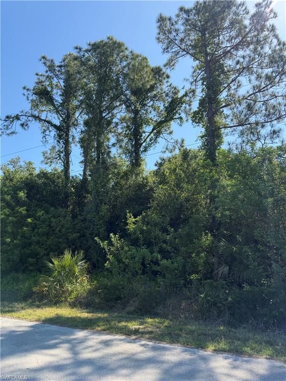 904 Sheldon AVE, LEHIGH ACRES, FL 33936 — photo 4