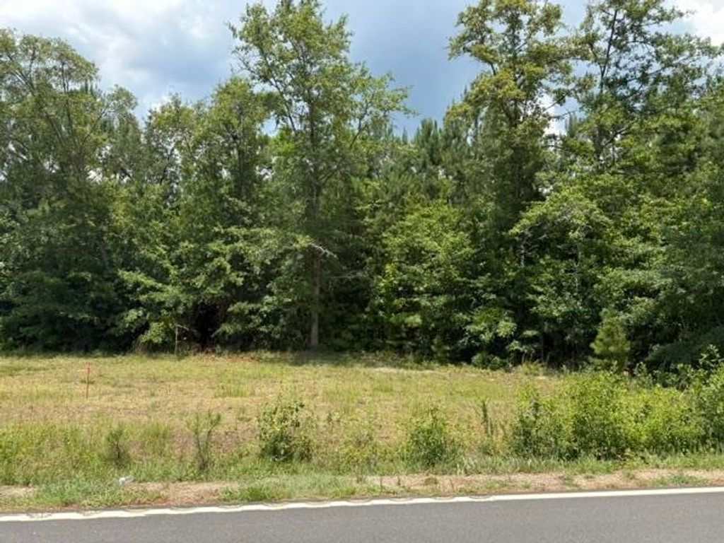 2.0 Acs Cohen Dr., Georgetown, SC 29440 — photo 2