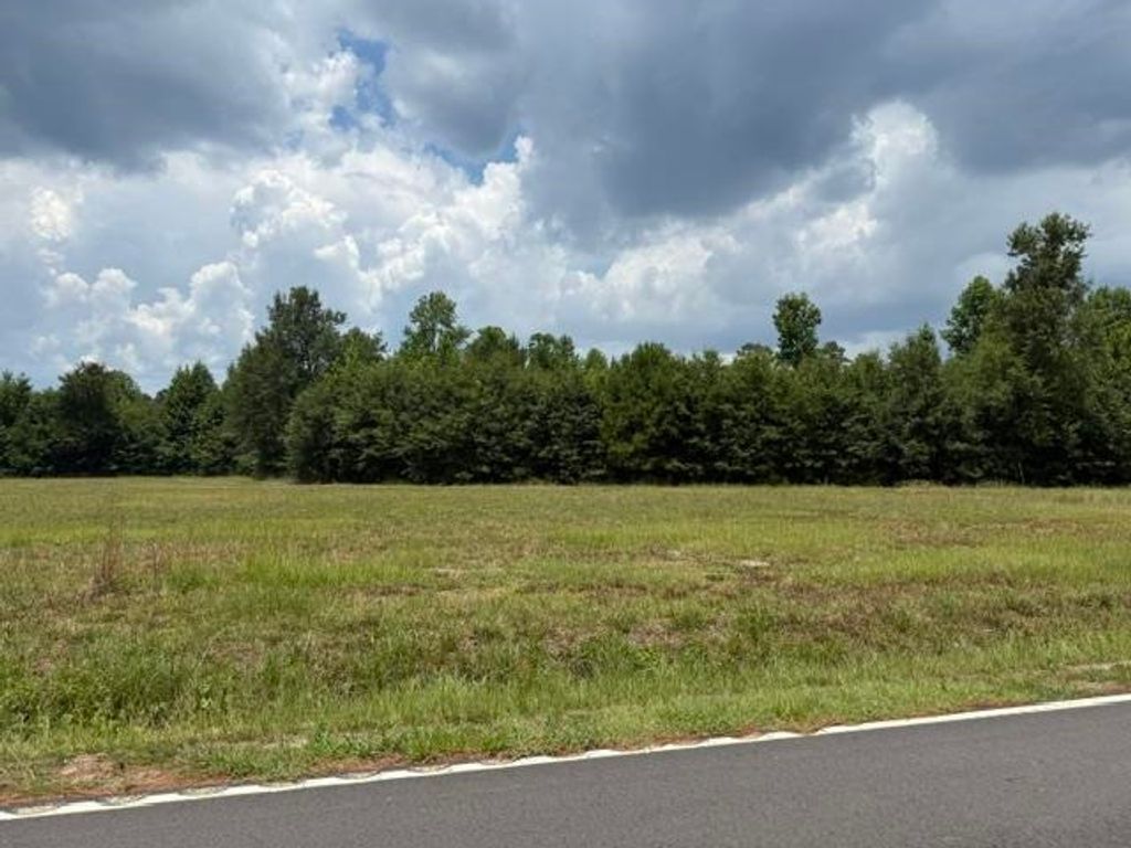 2.0 Acs Cohen Dr., Georgetown, SC 29440 — photo 3