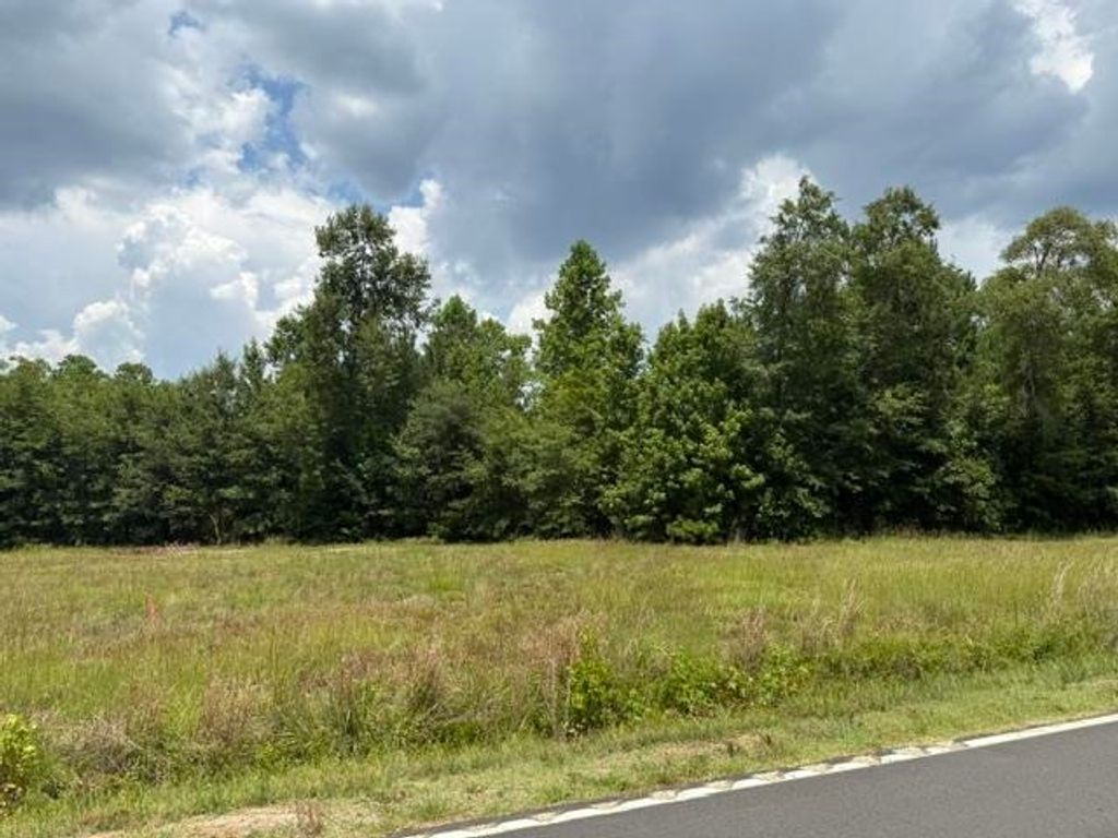 2.0 Acs Cohen Dr., Georgetown, SC 29440 — photo 4
