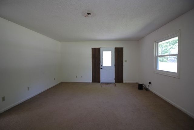 310 Dogwood Dr, Erin, TN 37061