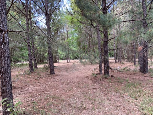 41 Pearl Harbor Lane, St. Helena Island, SC 29920