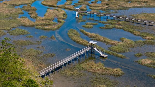 3891 Sawyers Island Drive, Mount Pleasant, SC 29466