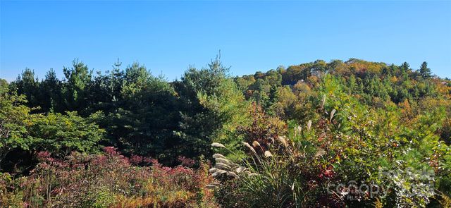 0 Clarktown Road, Newland, NC 28657