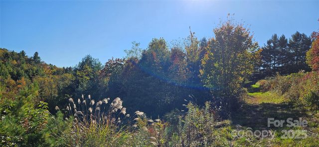 0 Clarktown Road, Newland, NC 28657