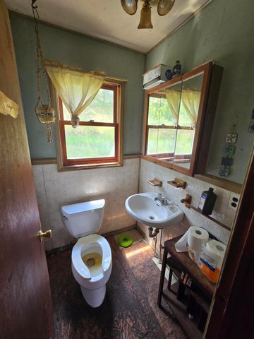 1330 S MT TOM Road, Mio, MI 48647