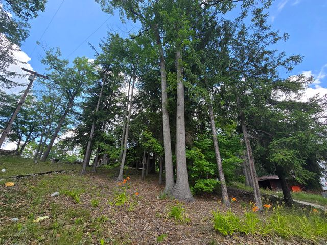 1330 S MT TOM Road, Mio, MI 48647